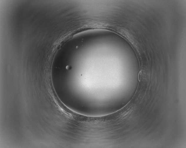 X0000073420433200607281156