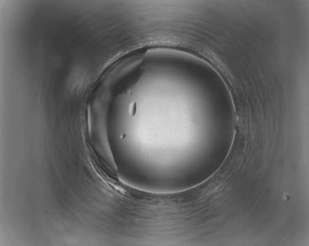 X0000073420434200607281156