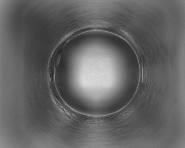 X0000073420435200607281156