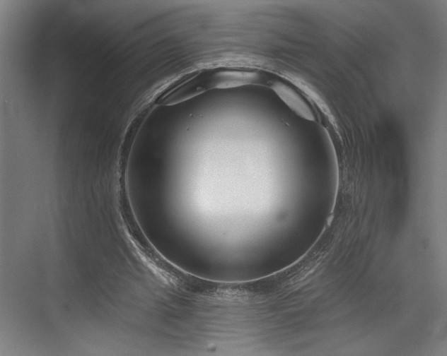 X0000073420437200607281156