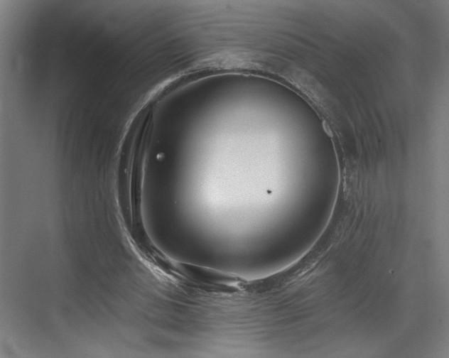 X0000073420438200607281156