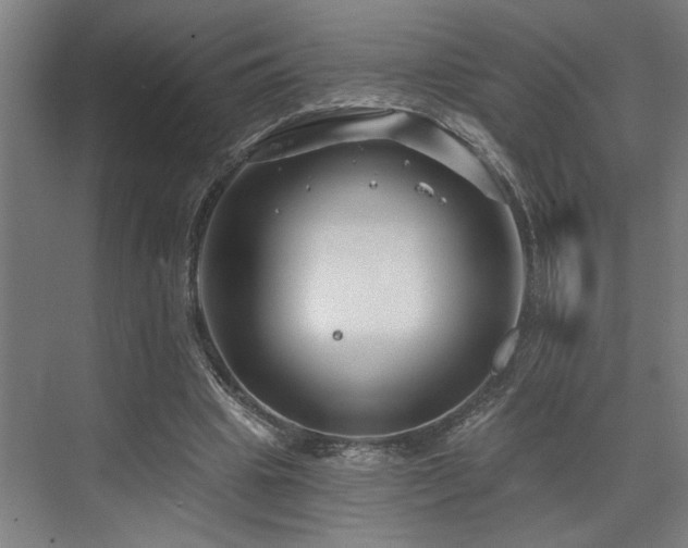 X0000073420441200607281156