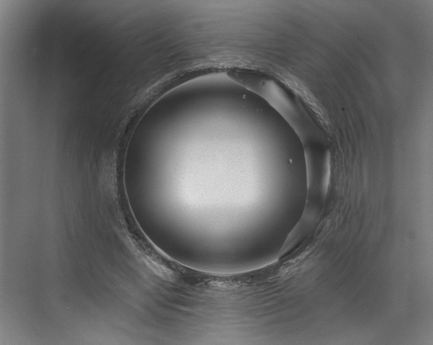 X0000073420442200607281156