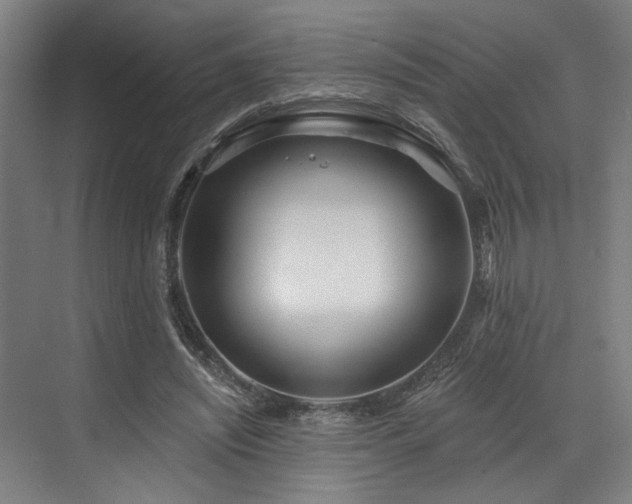 X0000073420444200607281156