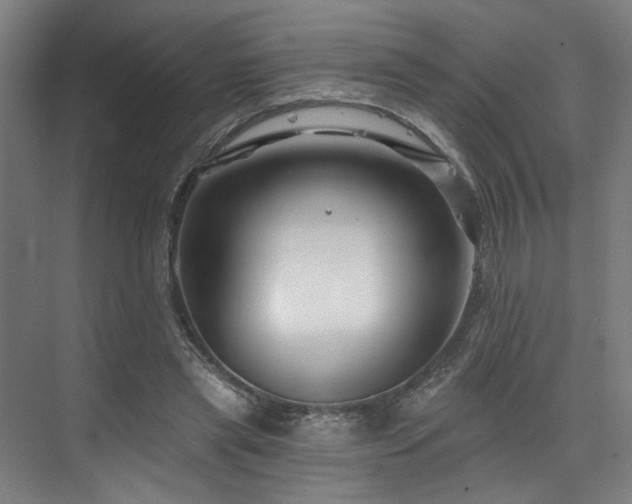 X0000073420445200607281156