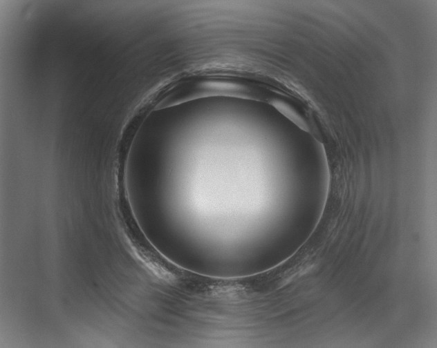 X0000073420446200607281156