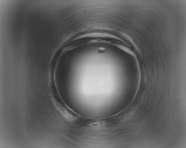 X0000073420447200607281157