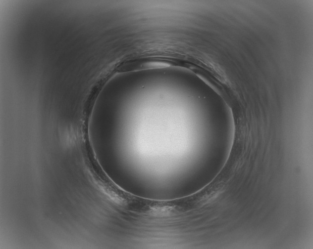 X0000073420450200607281157