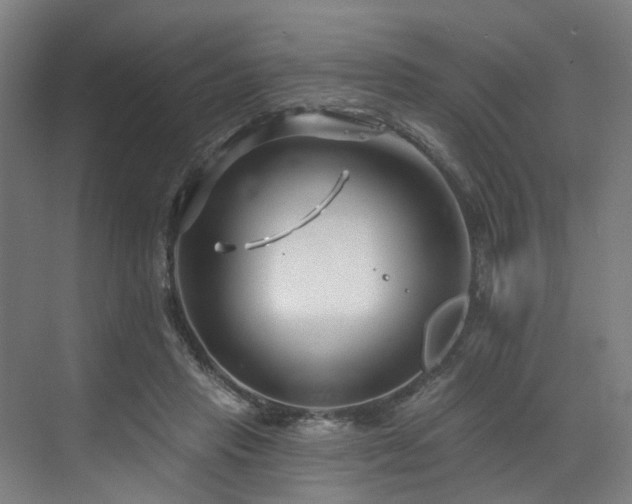 X0000073420453200607281157