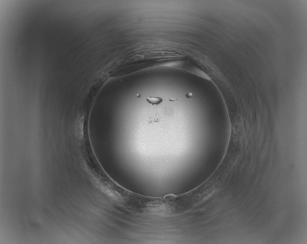 X0000073420454200607281157