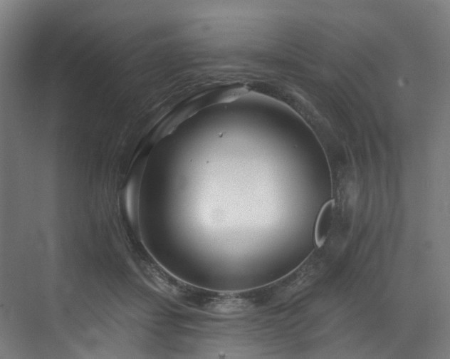 X0000073420459200607281157