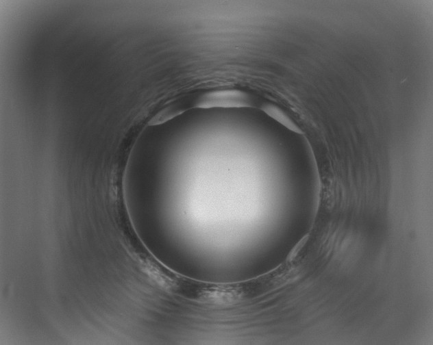 X0000073420466200607281157