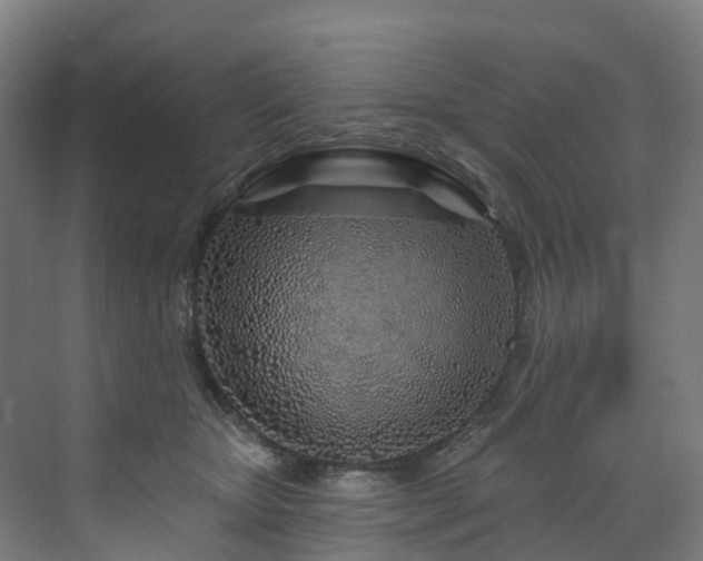 X0000073420467200607281157