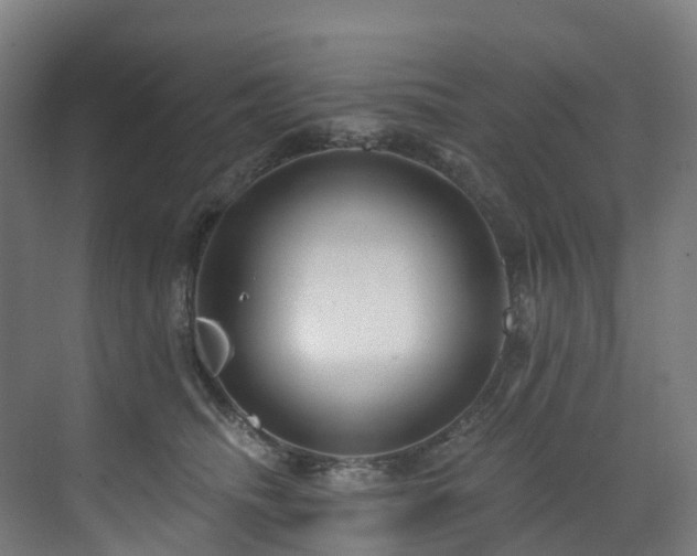 X0000073420468200607281157