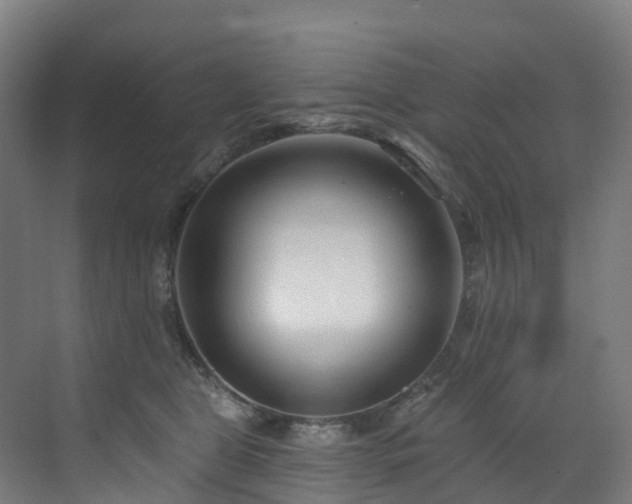 X0000073420469200607281157