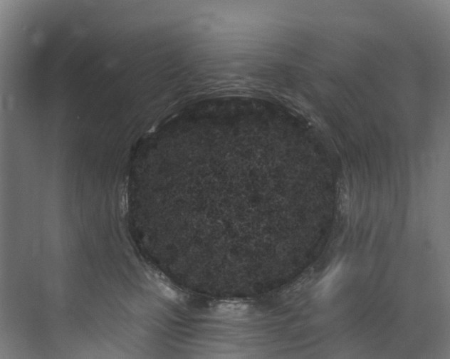 X0000073420471200607281157