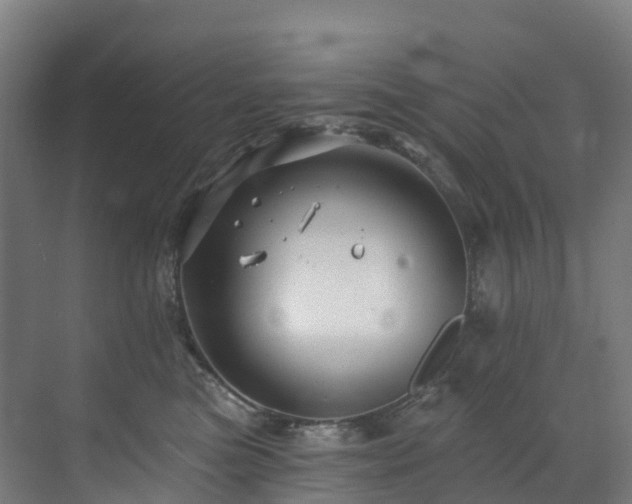 X0000073420473200607281157