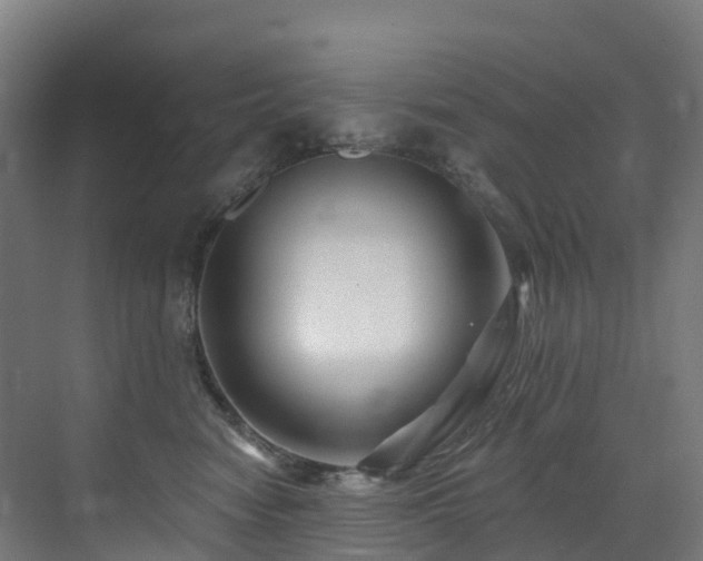 X0000073420474200607281157