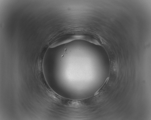 X0000073420475200607281157