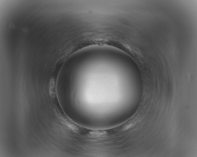 X0000073420480200607281157