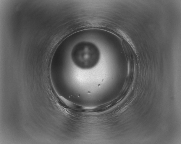 X0000073420481200607281156