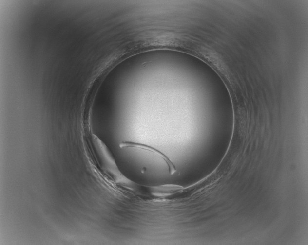 X0000073420482200607281156