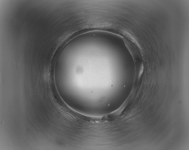 X0000073420483200607281156