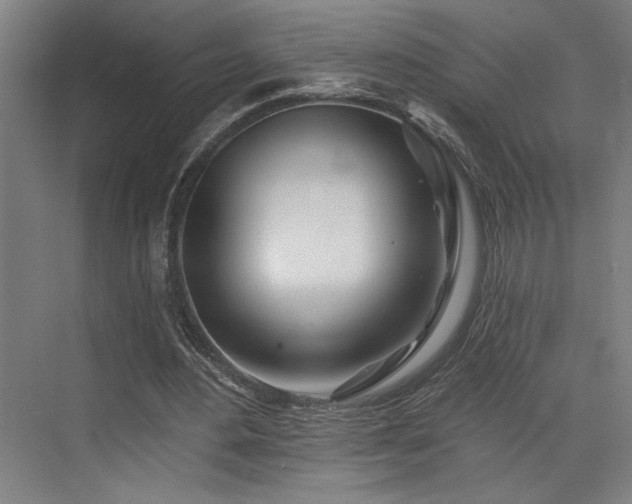 X0000073420484200607281156