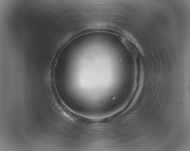 X0000073420485200607281156