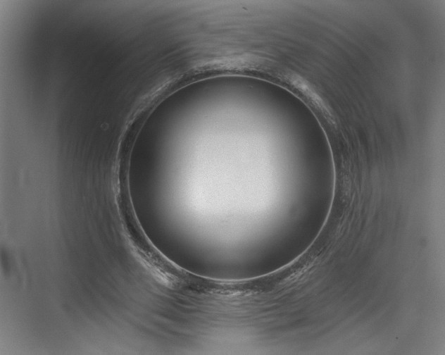 X0000073420486200607281156