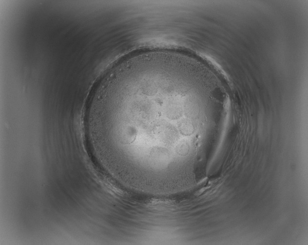 X0000073420487200607281156