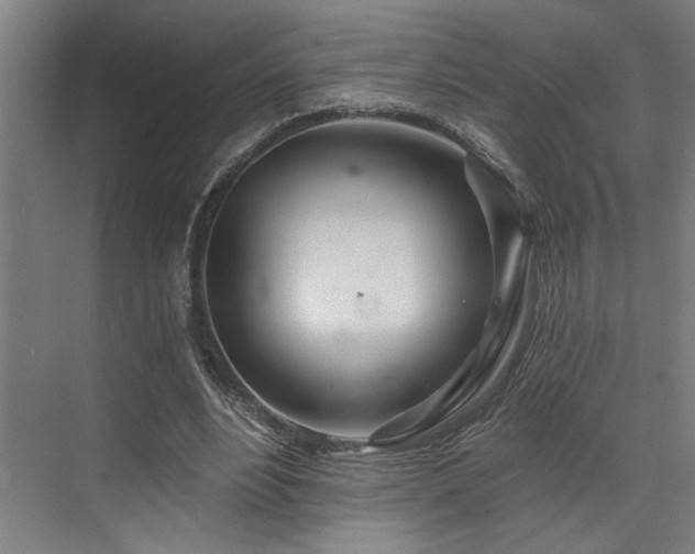 X0000073420488200607281156