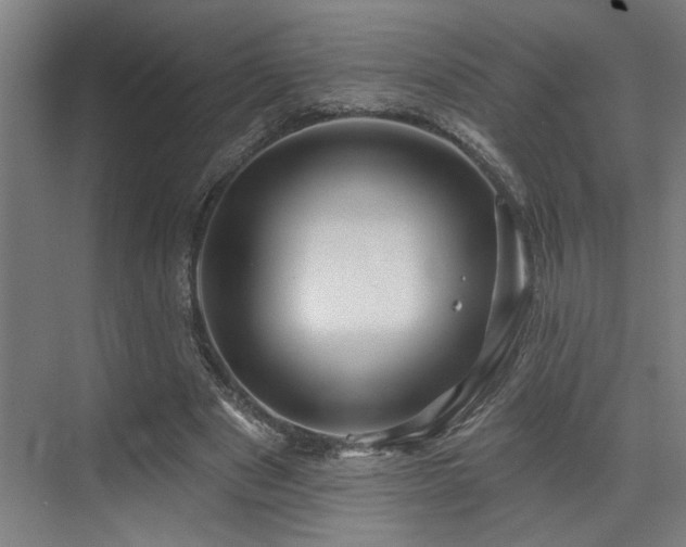 X0000073420489200607281156