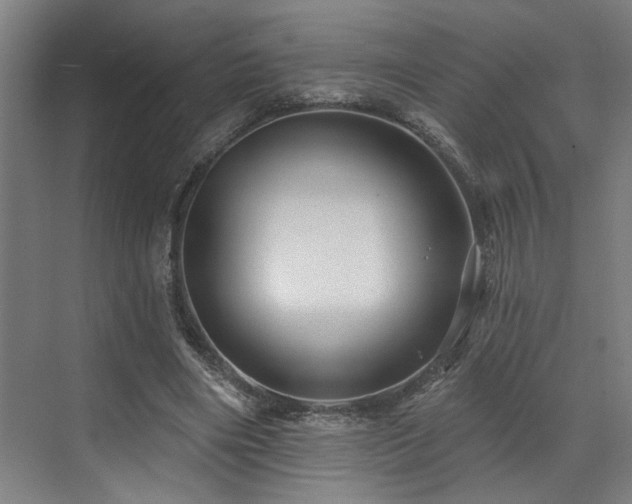 X0000073420490200607281156