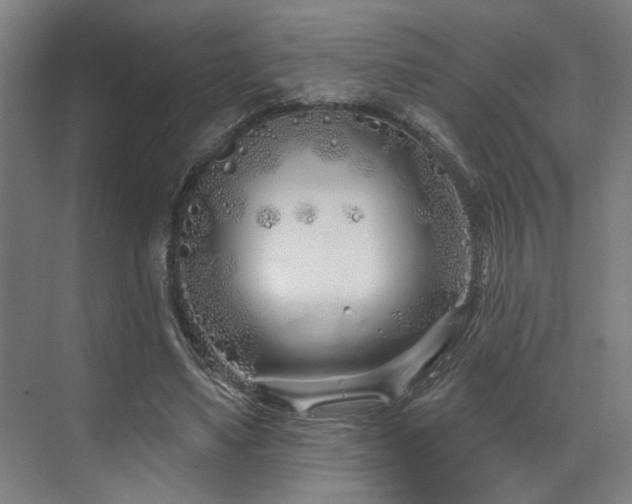 X0000073420491200607281156