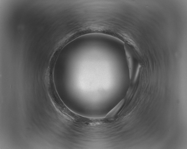 X0000073420492200607281156