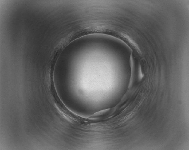 X0000073420493200607281156