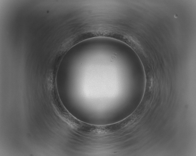 X0000073420498200607281156