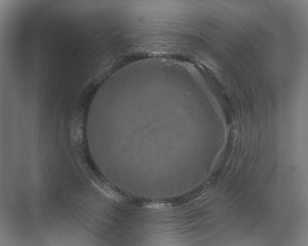 X0000073420499200607281156