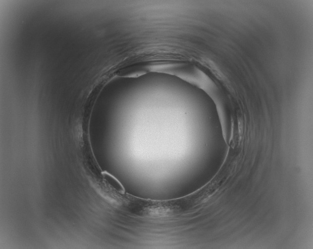 X0000073420500200607281156