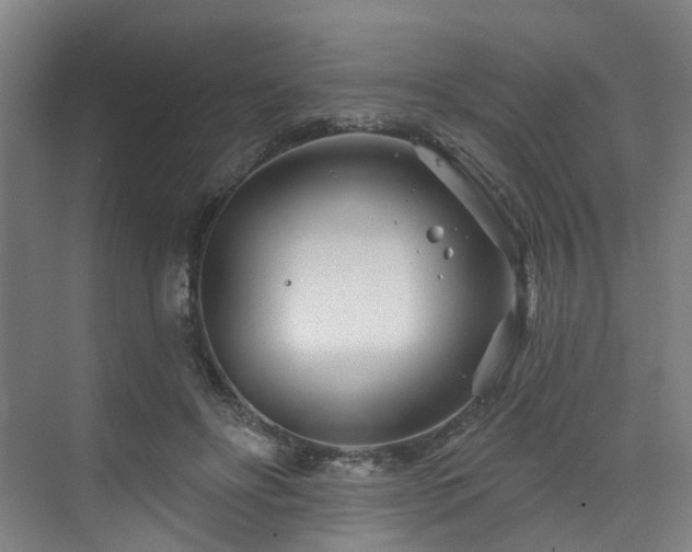 X0000073420502200607281156