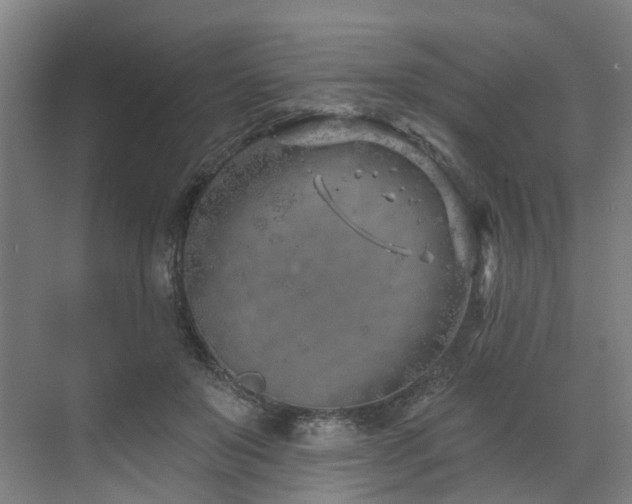 X0000073420503200607281156