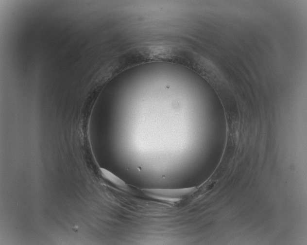 X0000073420506200607281156