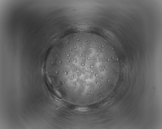 X0000073420507200607281156