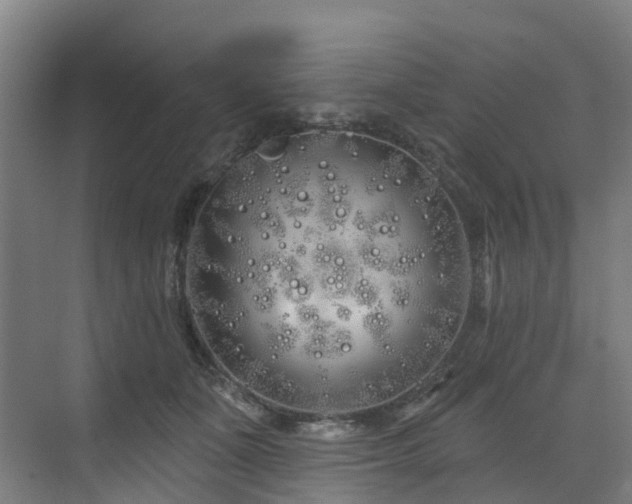 X0000073420511200607281156