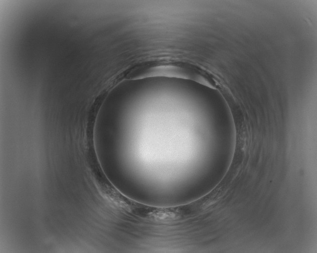 X0000073420512200607281156