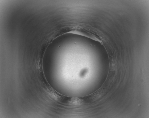 X0000073420514200607281156