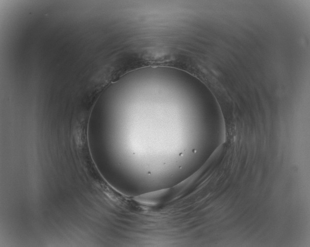 X0000073420515200607281156