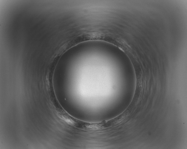 X0000073420516200607281156