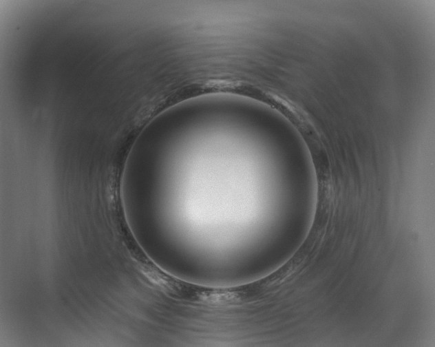 X0000073420517200607281156